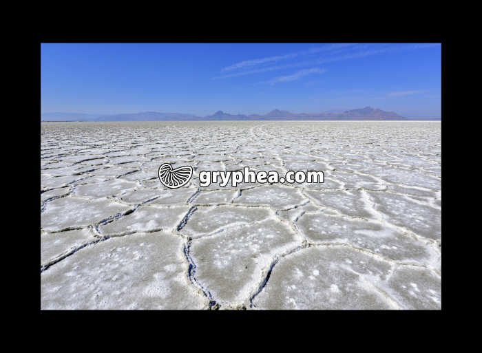 The Great Salt Lake (Utah, USA) - gryphea.org